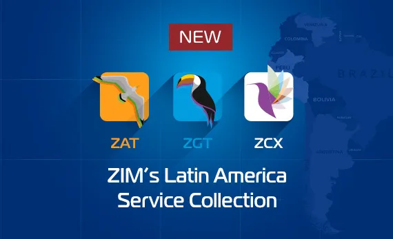 92453 15 Latam Service Collection 570X347